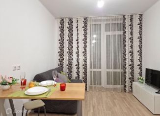 Продам однокомнатную квартиру, 42 м2, Екатеринбург, Сосновый переулок, 10, Сосновый переулок