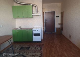 Аренда квартиры студии, 24.2 м2, Сургут, улица Иосифа Каролинского, 16