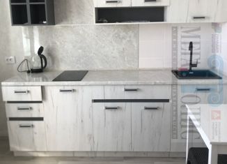 Однокомнатная квартира на продажу, 47.2 м2, Нижний Новгород, улица Дружаева, 1Б, улица Дружаева