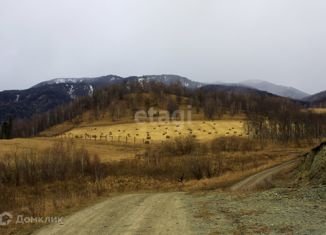 Продам участок, 200 сот., поселок Верх-Анос, Центральная улица