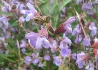 Продаю участок, 3200 сот., посёлок Сирень