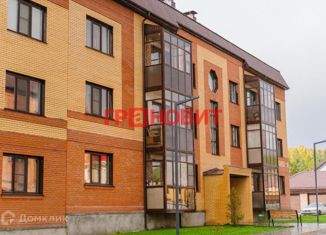 Продам 1-ком. квартиру, 41 м2, дачный посёлок Мочище, Берёзовая улица, 24