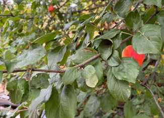 Продам земельный участок, 4.9 сот., Пермь, Мотовилихинский район