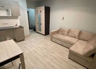Сдача в аренду квартиры студии, 25 м2, Санкт-Петербург, улица Фёдора Котанова, 3к2, ЖК Звёзды Столиц