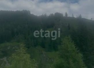 Продам участок, 10 сот., село Топучая, Центральная улица