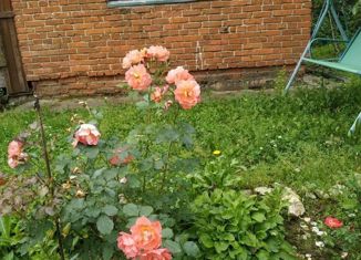 Продажа дома, 46 м2, деревня Заречье, садоводческое некоммерческое товарищество Солнышко, 105А