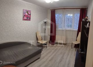 2-комнатная квартира на продажу, 46.7 м2, Санкт-Петербург, Суздальский проспект, 105к1, Калининский район