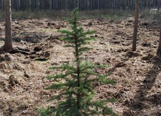 Продам участок, 7.9 сот., садовые участки Кооператор