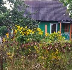 Продается дом, 39.9 м2, Московская область, садовое товарищество Ивашково-1, 109