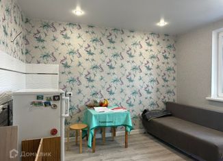 Продаю квартиру студию, 23.3 м2, Краснодар, улица Западный Обход, 39, ЖК Мой Город