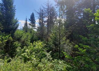 Продажа земельного участка, 11 сот., село Турочак, Покровская улица