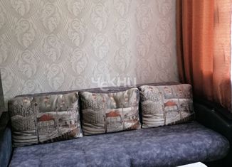 Продам двухкомнатную квартиру, 38.4 м2, Нижний Новгород, улица Спутника, 3, метро Парк Культуры