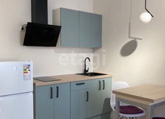 Продаю квартиру студию, 19.8 м2, Мурино, проспект Авиаторов Балтики, 17, ЖК Охтинская Дуга