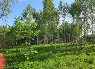 Продажа участка, 15 сот., деревня Тешилово