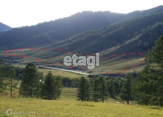 Продаю участок, 2000 сот., село Шебалино, Советская улица