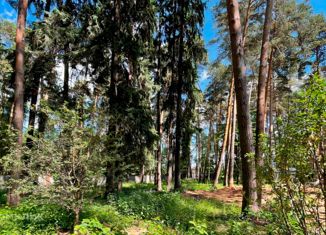 Земельный участок на продажу, 40.5 сот., деревня Жуковка, 2-я Академическая улица