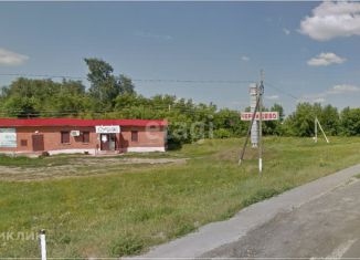 Продажа дома, 110 м2, село Червишево