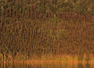 Продается дом, 325 м2, село Бердяш, Колхозная улица