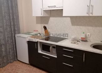 Продается 1-комнатная квартира, 32.3 м2, Нижегородская область, Бурнаковская улица, 91