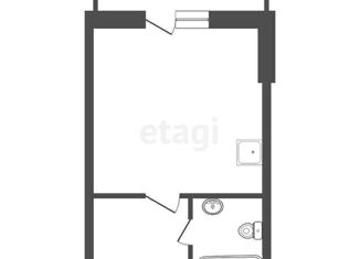 Продаю квартиру студию, 24.9 м2, Сосновоборск, проспект Мира, 17