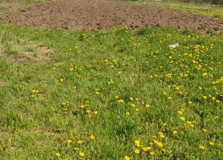 Продаю земельный участок, 13 сот., деревня Семенково-2, деревня Семёнково-2, 19