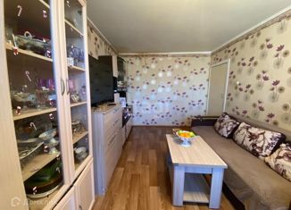 Продается двухкомнатная квартира, 53.5 м2, деревня Кисельня, Центральная улица, 12