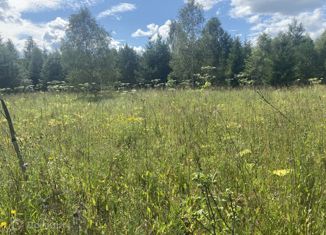 Продаю земельный участок, 10 сот., деревня Брыньково