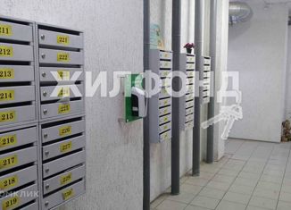 Двухкомнатная квартира на продажу, 64.1 м2, Новосибирск, Волховская улица, 37, ЖК Радуга