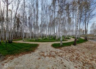 Продажа участка, 6 сот., деревня Решетникова, Салаирский тракт, 14-й километр