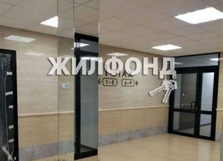 Продам квартиру студию, 29.36 м2, Новосибирск, улица Королёва, 1А, ЖК на Королёва