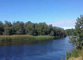 Продажа земельного участка, 20 сот., деревня Венекюля, Береговая улица
