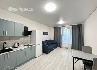 Сдам в аренду квартиру студию, 25 м2, Санкт-Петербург, Дальневосточный проспект, 19к1, муниципальный округ Невский