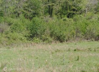 Продаю участок, 6.4 сот., жилищно-садоводческое товарищество Русь