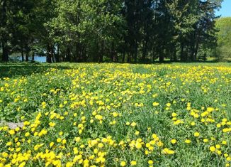 Продается участок, 10 сот., садоводческое некоммерческое товарищество Абразивщик, Парковая улица