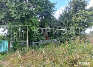 Продажа дома, 34.8 м2, село Новопаньшино