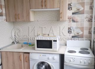 Продажа 1-комнатной квартиры, 33 м2, Санкт-Петербург, проспект Художников, 29к1, метро Проспект Просвещения