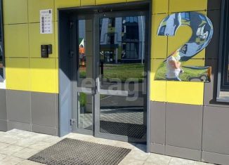 Однокомнатная квартира на продажу, 32 м2, село Новая Тура, Дорожная улица, 7