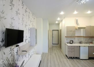 Продам квартиру студию, 26 м2, Сочи, Лечебный переулок, 1А, микрорайон Старая Мацеста