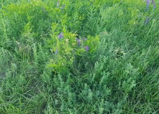 Продажа земельного участка, 5 сот., СНТ Гайдары, СНТ Гайдары, 320