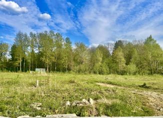 Продажа участка, 10 сот., дачный потребительский кооператив Экопарк Ушаково, дачный потребительский кооператив Экопарк Ушаково, 137