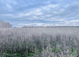 Продам земельный участок, 12.5 сот., деревня Первомайская, улица 60 лет Образования СССР