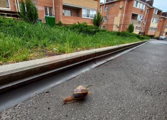 Продам 1-комнатную квартиру, 33 м2, поселок Верхнетемерницкий, улица Венеры, 24к11