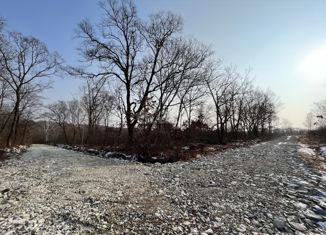 Продажа участка, 10 сот., СНТ Дубки-1