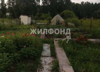 Продам участок, 3 сот., садоводческое некоммерческое товарищество Восток