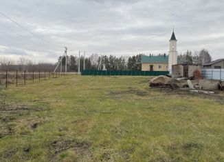 Продам дом, 122 м2, деревня Нуркеево, Рябиновая улица