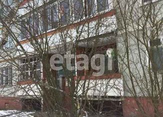 Продам 3-комнатную квартиру, 66.1 м2, деревня Кошелево, Молодёжная улица, 23