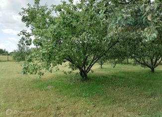 Продам участок, 15 сот., деревня Кесово, Центральная улица