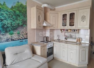 Продается квартира студия, 22.8 м2, Краснодар, Митинская улица, 21, Митинская улица