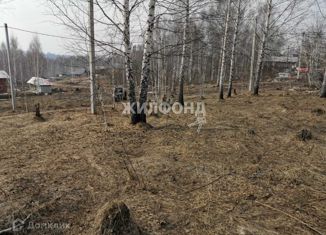 Земельный участок на продажу, 6 сот., садовое товарищество Ромашка-Иня, садовое товарищество Ромашка-Иня, 62