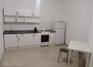 Сдается 1-комнатная квартира, 47.2 м2, Екатеринбург, проспект Академика Сахарова, 31